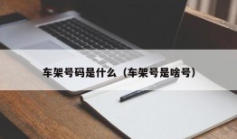 车架号码是什么（车架号是啥号）