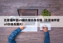 比亚迪仰望u9图片报价及价格（比亚迪仰望u9价格及图片）