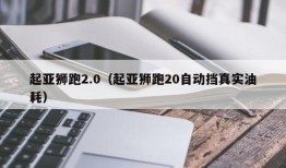 起亚狮跑2.0（起亚狮跑20自动挡真实油耗）