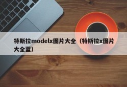 特斯拉modelx图片大全（特斯拉x图片大全蓝）