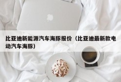 比亚迪新能源汽车海豚报价（比亚迪最新款电动汽车海豚）