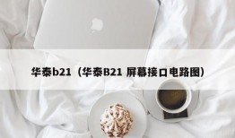 华泰b21（华泰B21 屏幕接口电路图）