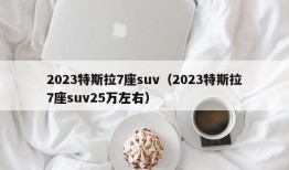 2023特斯拉7座suv（2023特斯拉7座suv25万左右）