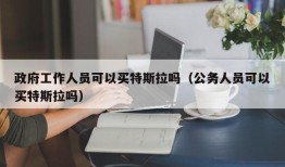 政府工作人员可以买特斯拉吗（公务人员可以买特斯拉吗）