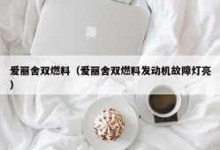 爱丽舍双燃料（爱丽舍双燃料发动机故障灯亮）