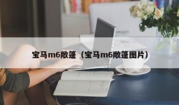 宝马m6敞篷（宝马m6敞篷图片）