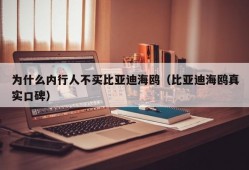 为什么内行人不买比亚迪海鸥（比亚迪海鸥真实口碑）