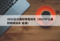 2022公认最好纯电动车（2022公认最好纯电动车 能源）