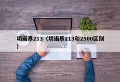 切诺基213（切诺基213和2500区别）