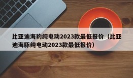 比亚迪海豹纯电动2023款最低报价（比亚迪海豚纯电动2023款最低报价）