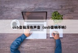 usb音箱没有声音（usb音响不响）