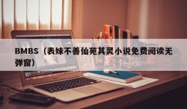 BMBS（表妹不善仙苑其灵小说免费阅读无弹窗）