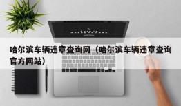 哈尔滨车辆违章查询网（哈尔滨车辆违章查询官方网站）