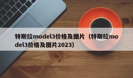 特斯拉model3价格及图片（特斯拉model3价格及图片2023）