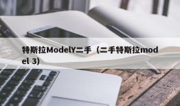 特斯拉ModelY二手（二手特斯拉model 3）