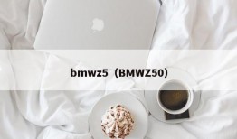 bmwz5（BMWZ50）