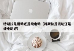 特斯拉是混动还是纯电动（特斯拉是混动还是纯电动好）