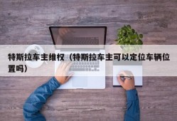 特斯拉车主维权（特斯拉车主可以定位车辆位置吗）