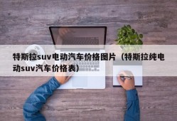 特斯拉suv电动汽车价格图片（特斯拉纯电动suv汽车价格表）