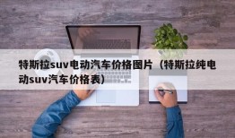 特斯拉suv电动汽车价格图片（特斯拉纯电动suv汽车价格表）