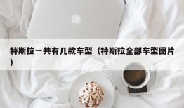 特斯拉一共有几款车型（特斯拉全部车型图片）