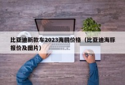 比亚迪新款车2023海鸥价格（比亚迪海豚报价及图片）