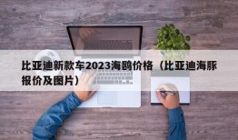 比亚迪新款车2023海鸥价格（比亚迪海豚报价及图片）