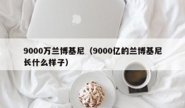 9000万兰博基尼（9000亿的兰博基尼长什么样子）