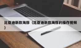 比亚迪新款海豚（比亚迪新款海豚的操作视频）