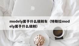 modely属于什么级别车（特斯拉modely属于什么级别）