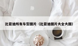 比亚迪所有车型图片（比亚迪图片大全大图）