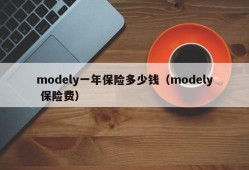 modely一年保险多少钱（modely 保险费）