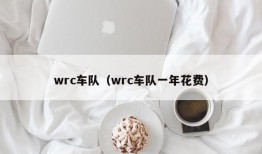 wrc车队（wrc车队一年花费）