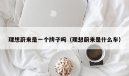 理想蔚来是一个牌子吗（理想蔚来是什么车）