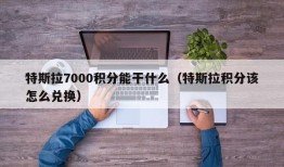 特斯拉7000积分能干什么（特斯拉积分该怎么兑换）