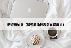 新速腾油耗（新速腾油耗表怎么调出来）