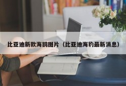 比亚迪新款海鸥图片（比亚迪海豹最新消息）