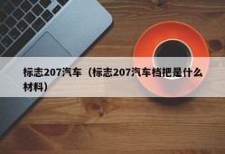 标志207汽车（标志207汽车档把是什么材料）